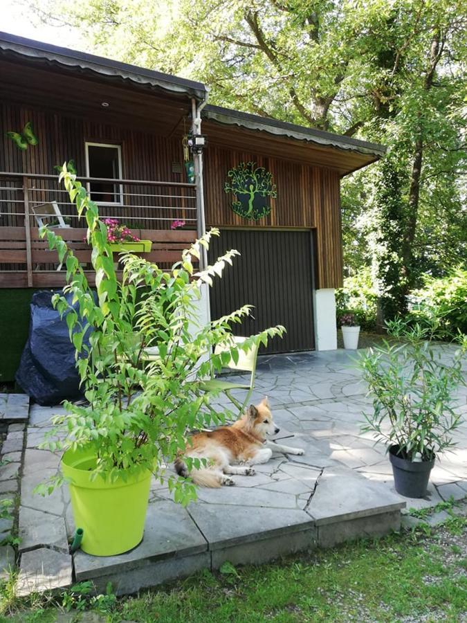 Titi'S Chalet Durbuy Buitenkant foto